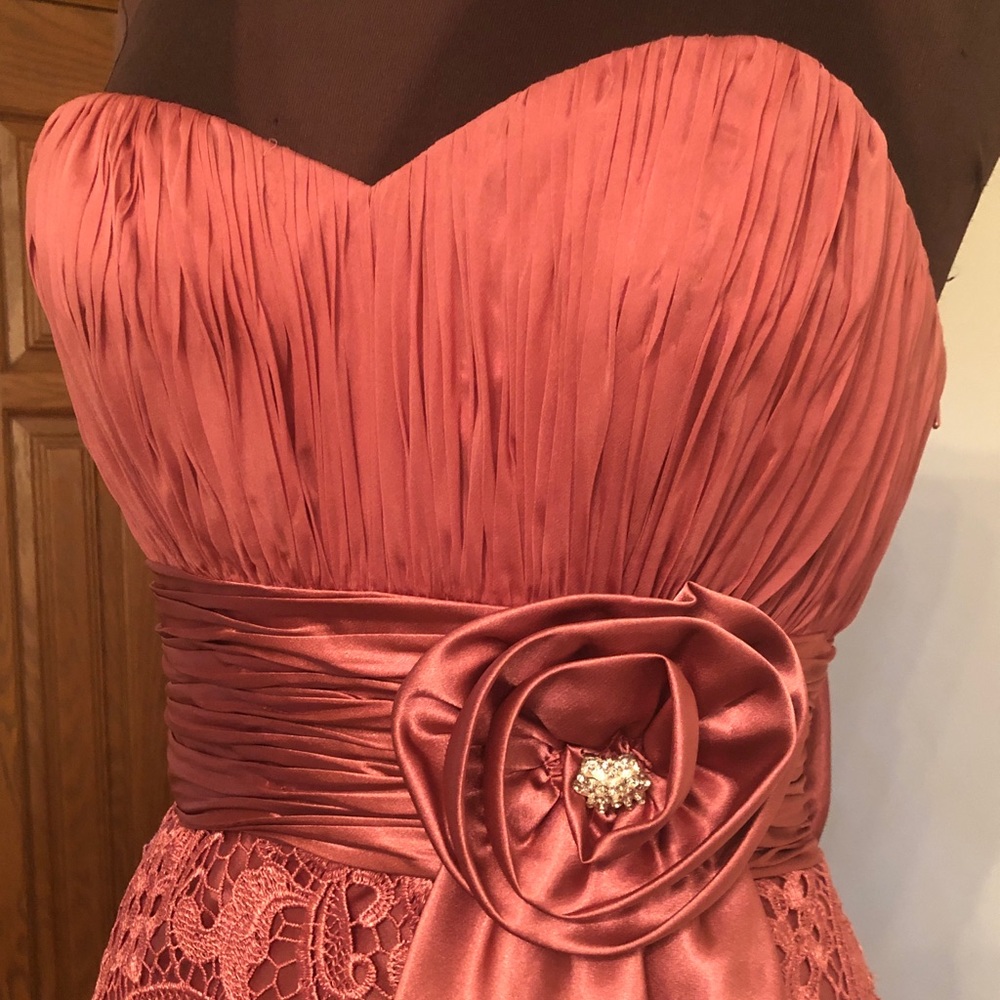 Pink laced gown - Picture 5 of 6